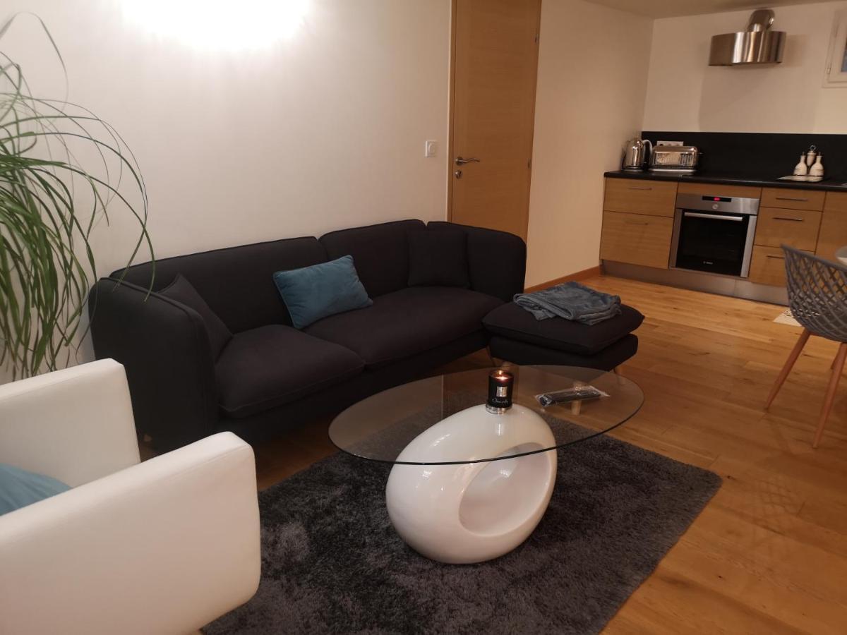 Tres Bel Appartement Avec Vue Sur Les Montagnes Saint Ismier エクステリア 写真